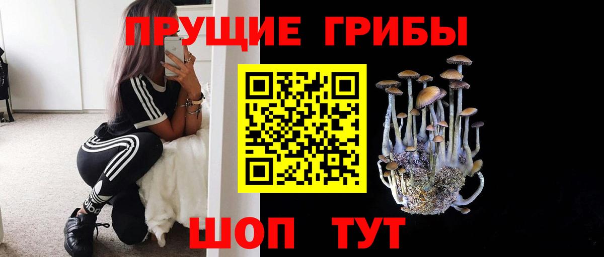 Галлюциногенные грибы Cubensis Псков