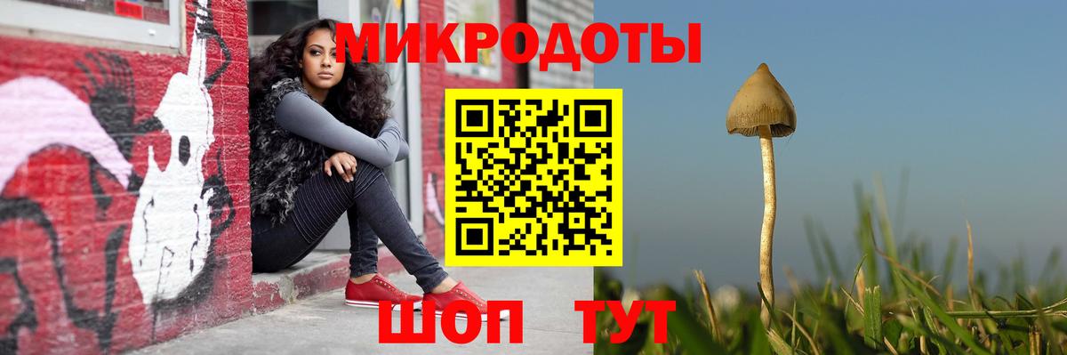 Галлюциногенные грибы Cubensis  Вход с VPN  Псков 
