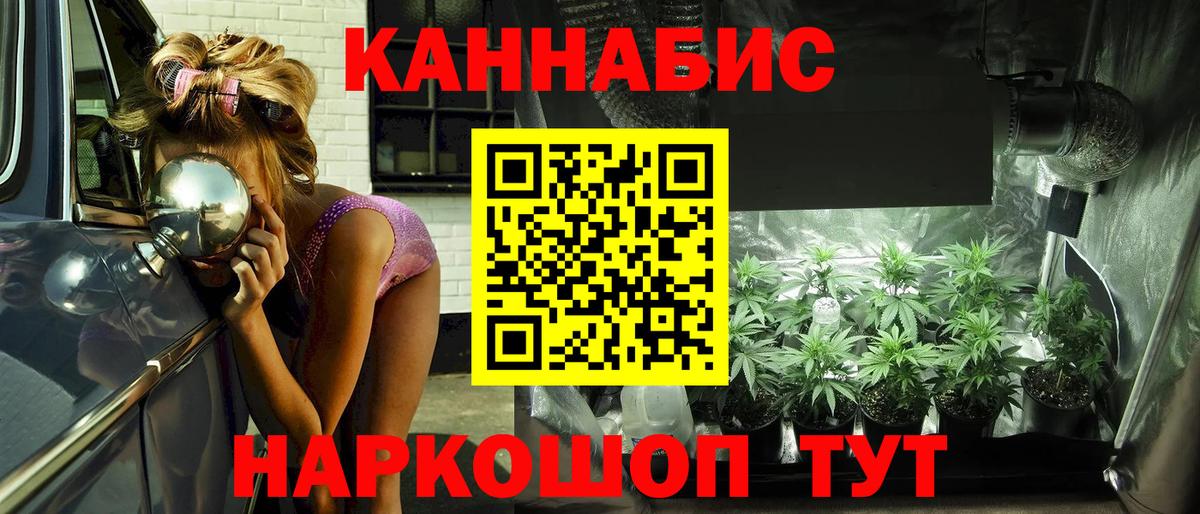 Псков  Каннабис сатива  Конопля Bruce Banner  Вход с VPN 